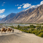 Hunder Village Ladakh