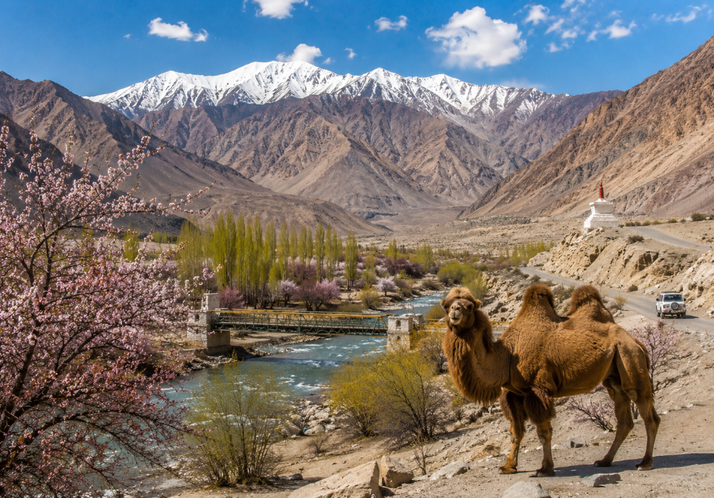 nubra valley in may