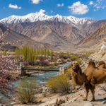 nubra valley in may