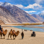 Things to Do in Nubra Valley